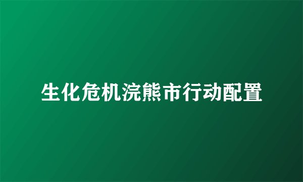 生化危机浣熊市行动配置