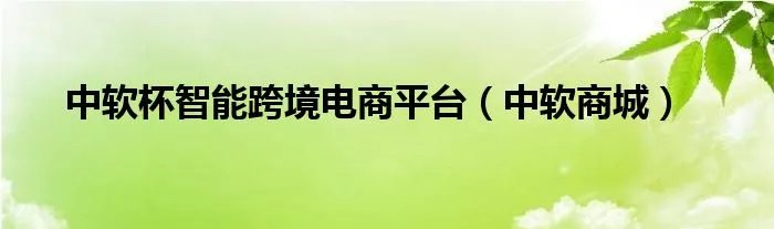 中软杯智能跨境电商平台（中软商城）