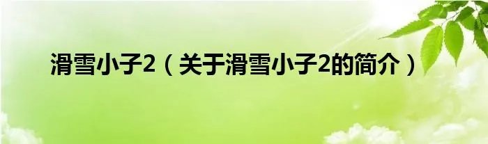 滑雪小子2（关于滑雪小子2的简介）