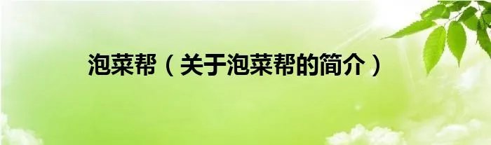 泡菜帮（关于泡菜帮的简介）