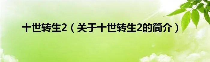 十世转生2（关于十世转生2的简介）