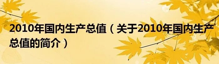 2010年国内生产总值(关于2010年国内生产总值的简介)