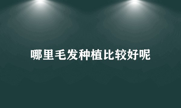 哪里毛发种植比较好呢