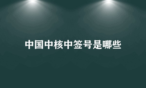 中国中核中签号是哪些