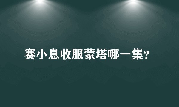 赛小息收服蒙塔哪一集？