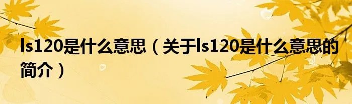 ls120是什么意思（关于ls120是什么意思的简介）