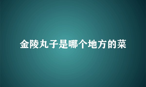 金陵丸子是哪个地方的菜