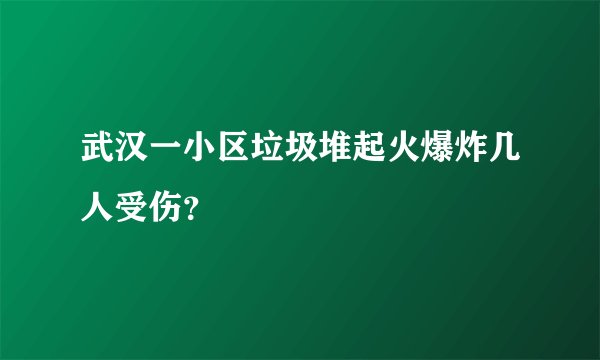 武汉一小区垃圾堆起火爆炸几人受伤？