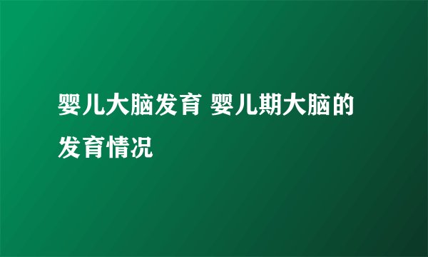 婴儿大脑发育 婴儿期大脑的发育情况