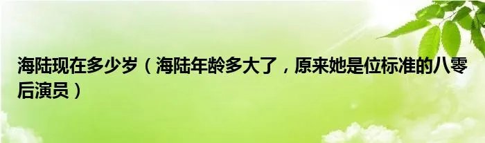 海陆现在多少岁（海陆年龄多大了，原来她是位标准的八零后演员）