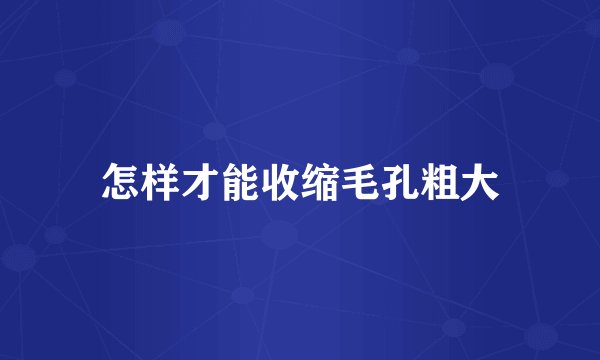 怎样才能收缩毛孔粗大
