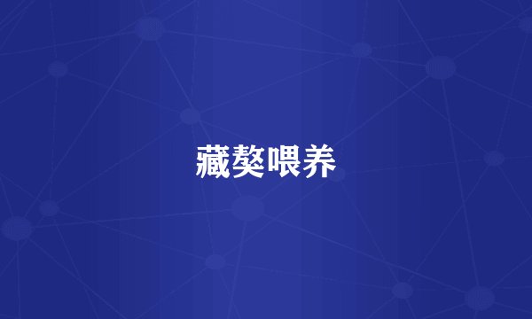 藏獒喂养