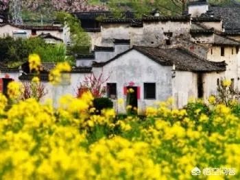 3月份最适合旅游的地方是哪里?