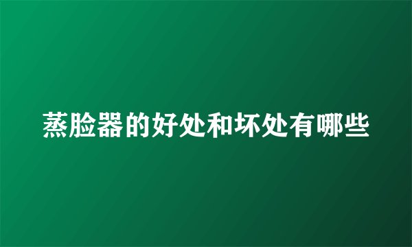 蒸脸器的好处和坏处有哪些