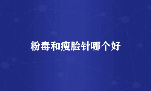 粉毒和瘦脸针哪个好