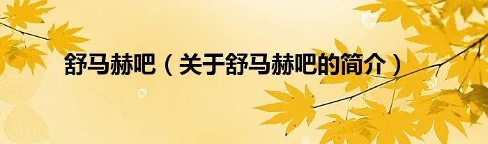 舒马赫吧（关于舒马赫吧的简介）