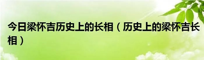 今日梁怀吉历史上的长相（历史上的梁怀吉长相）