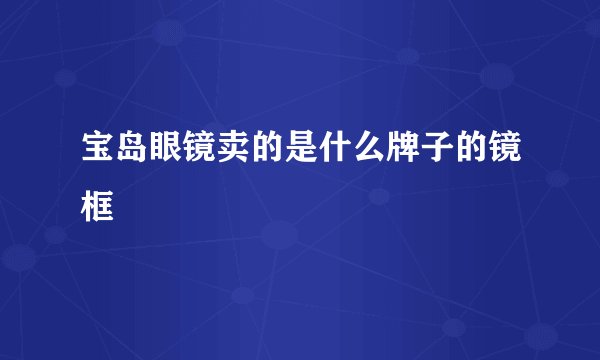 宝岛眼镜卖的是什么牌子的镜框