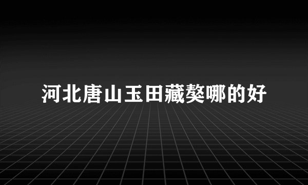 河北唐山玉田藏獒哪的好