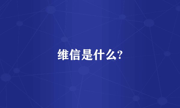 维信是什么?