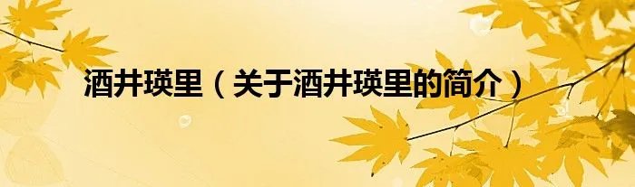 酒井瑛里（关于酒井瑛里的简介）