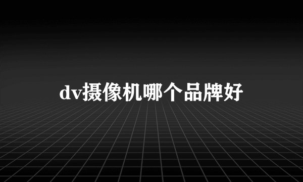 dv摄像机哪个品牌好