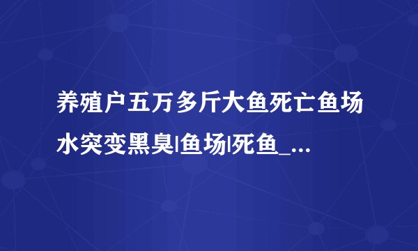 养殖户五万多斤大鱼死亡鱼场水突变黑臭|鱼场|死鱼_飞外新闻