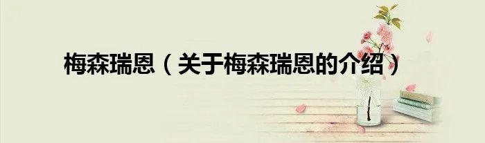 梅森瑞恩（关于梅森瑞恩的介绍）