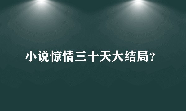 小说惊情三十天大结局？