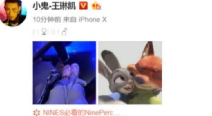 小鬼疑似公布恋情是什么情况:小鬼王琳凯简介及图片