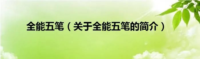 全能五笔（关于全能五笔的简介）