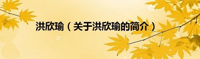 洪欣瑜（关于洪欣瑜的简介）