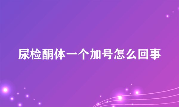 尿检酮体一个加号怎么回事