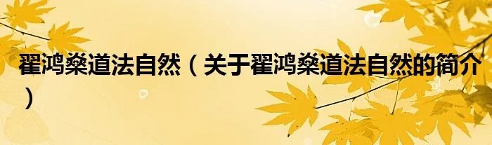翟鸿燊道法自然（关于翟鸿燊道法自然的简介）