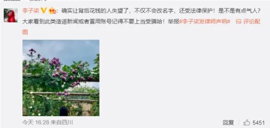李子柒斥300余账号恶意侵权:让背后花钱的人失望了 是不是有点气人?