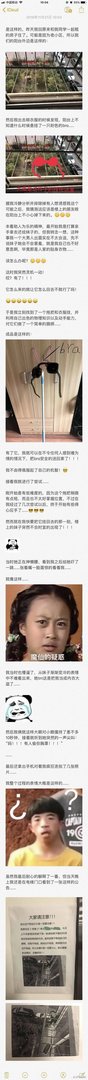 一段搞笑的文字与一张搞笑的图片相比,哪个能更让你快乐?