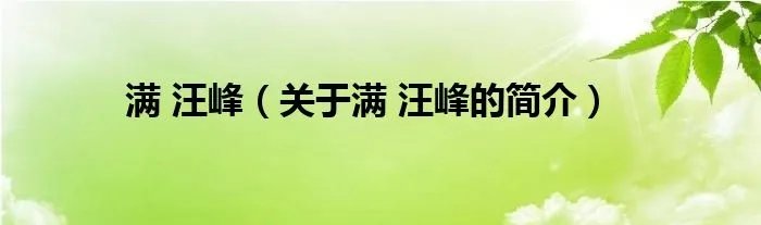 满 汪峰（关于满 汪峰的简介）