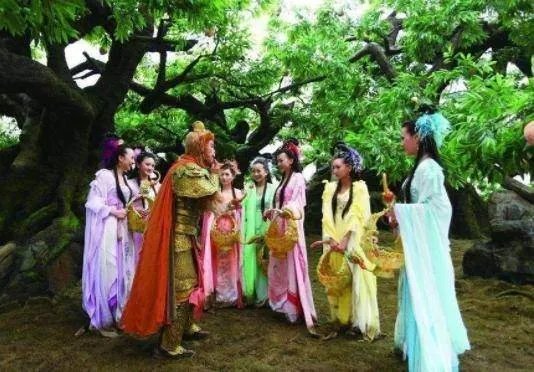 孙悟空定住七仙女后,对她们做了什么事呢?