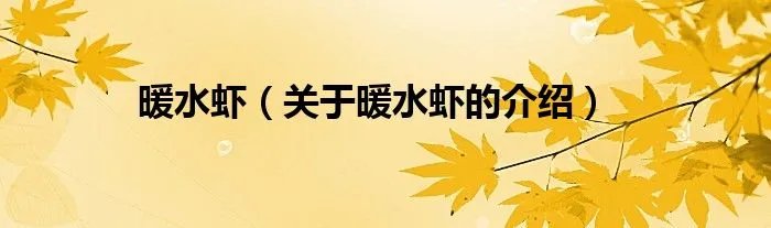 暖水虾（关于暖水虾的介绍）