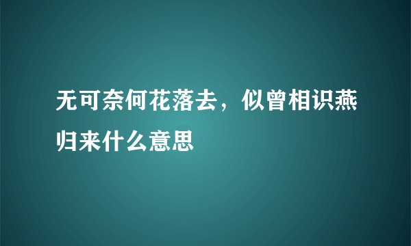 无可奈何花落去，似曾相识燕归来什么意思