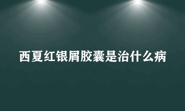 西夏红银屑胶囊是治什么病