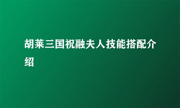 胡莱三国祝融夫人技能搭配介绍