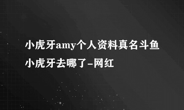 小虎牙amy个人资料真名斗鱼小虎牙去哪了-网红