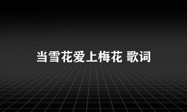当雪花爱上梅花 歌词