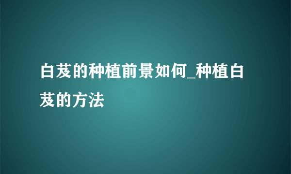 白芨的种植前景如何_种植白芨的方法