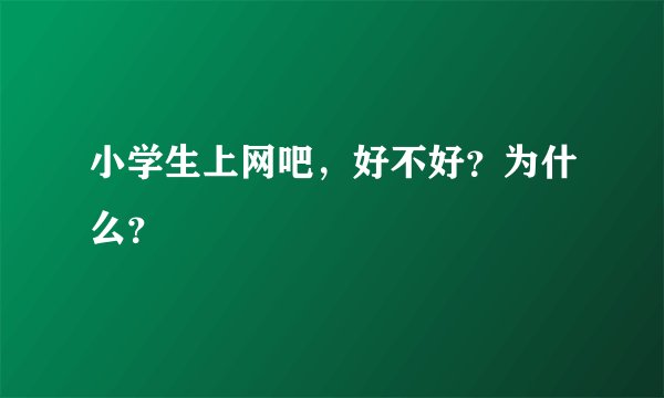 小学生上网吧，好不好？为什么？