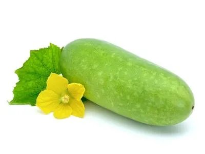 冬瓜木耳香菜汤可以减肥吗 揭秘有效减肥的几款汤