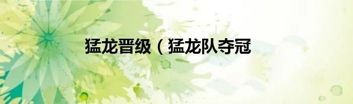 猛龙晋级（猛龙队夺冠