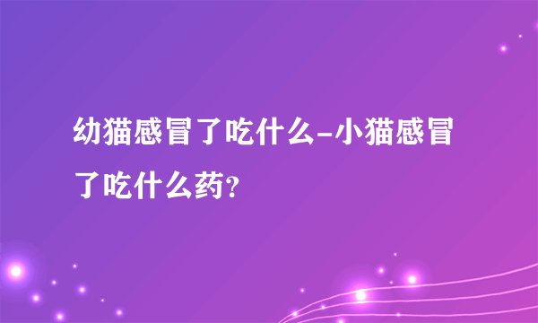 幼猫感冒了吃什么-小猫感冒了吃什么药？