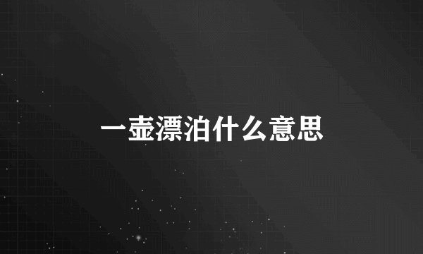 一壶漂泊什么意思